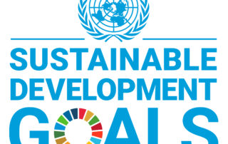 sustainable developtment goals